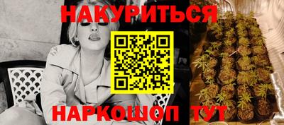 эйфоретик Бийск