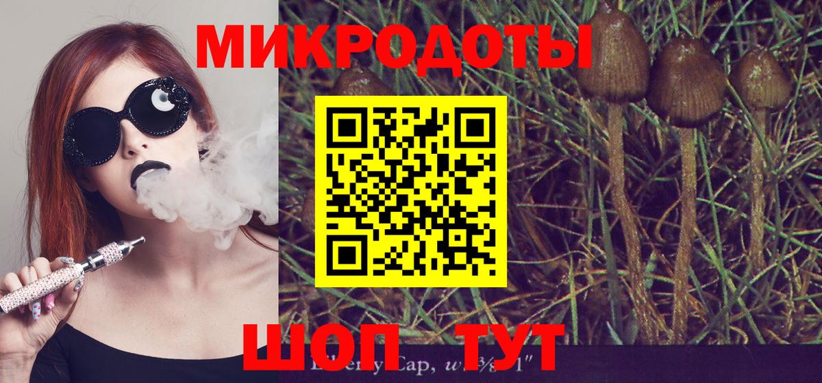 Галлюциногенные грибы MAGIC MUSHROOMS Кимовск