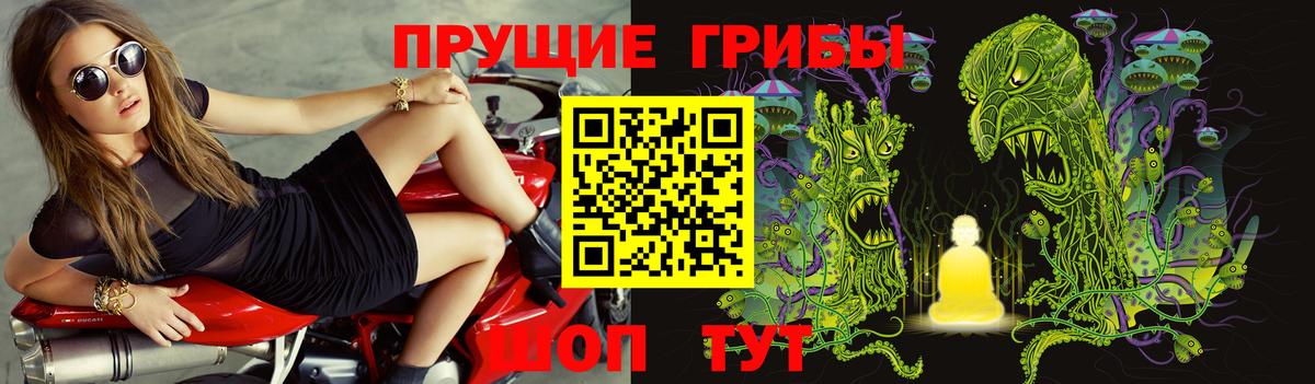 Галлюциногенные грибы Psilocybine cubensis  Вход с VPN  Галлюциногенные грибы Psilocybe  Кимовск 